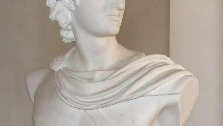 Busto di Apollo del Belvedere con volto giovane, capigliatura riccia e panneggio disposto sulle spalle